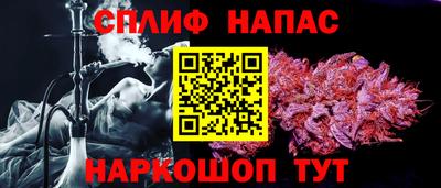 Альфа ПВП Будённовск