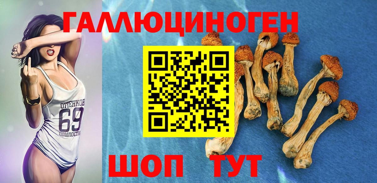 Семёнов  Псилоцибиновые грибы Psilocybine cubensis  Вход с VPN 