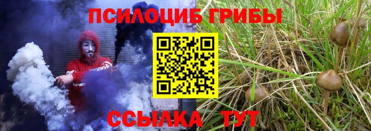 Галлюциногенные грибы мухоморы Семёнов